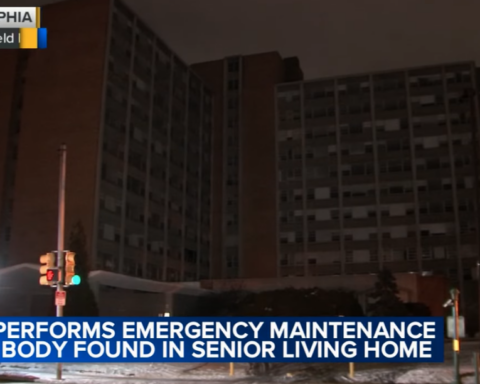 copper thief found in building